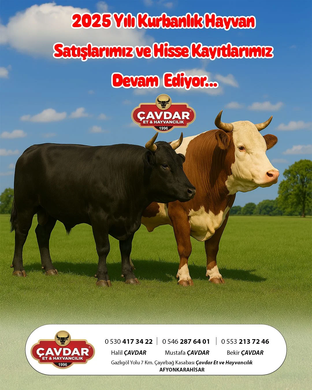 Afyon Kurbanlık | Online Adaklık Kurban | Akika Kurbanı | Şükür Kurbanı | Afyon Adaklık Kurban