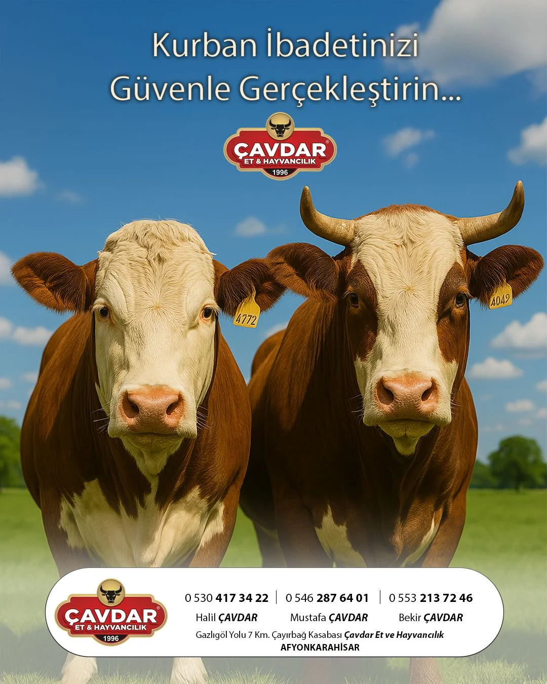 Afyon Kurbanlık | Online Adaklık Kurban | Akika Kurbanı | Şükür Kurbanı | Afyon Adaklık Kurban