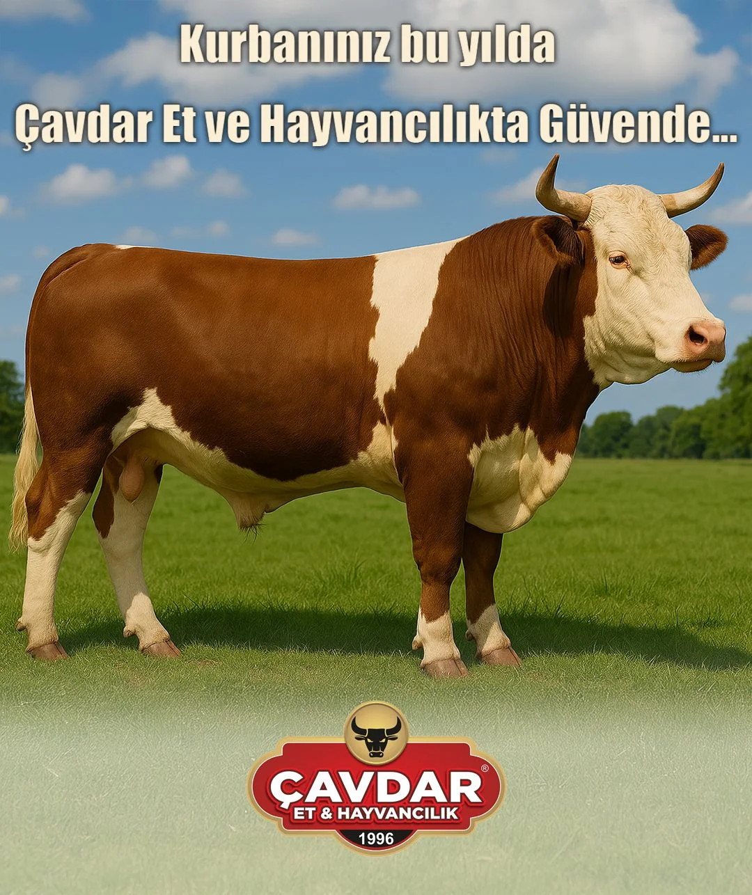 Afyon Kurbanlık | Online Adaklık Kurban | Akika Kurbanı | Şükür Kurbanı | Afyon Adaklık Kurban